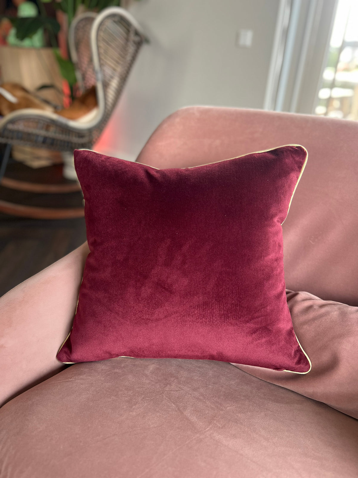Sierkussen Paola pink 50x50